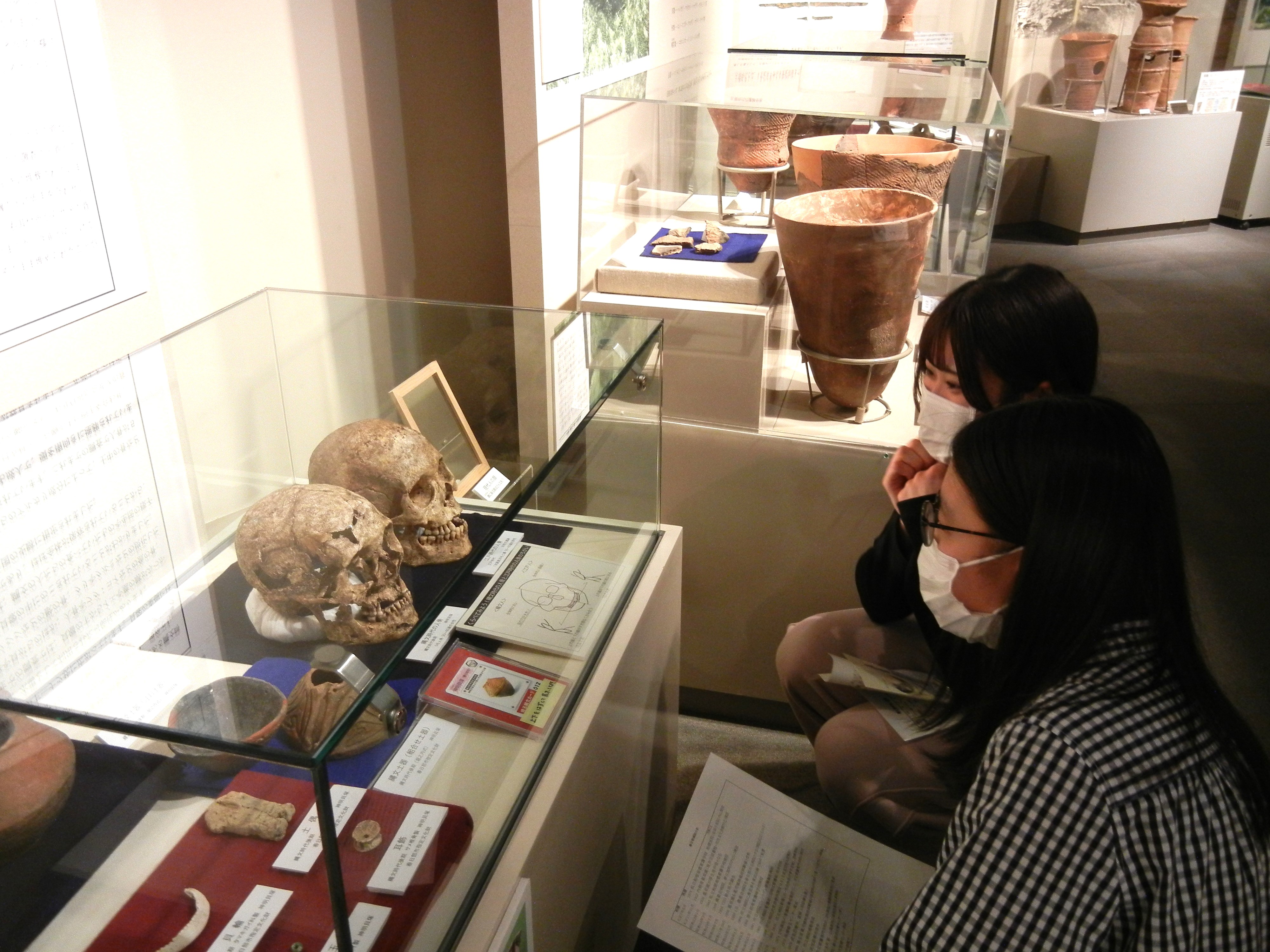 展示物に夢中